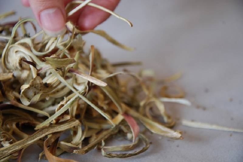 Bông atiso khô giá bao nhiêu?