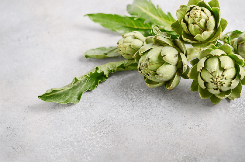 Nhu cầu atiso khô ngày càng tăng cao trong thời gian qua